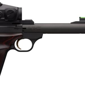 BUCKMARK HUNTER 22LR 5.9" RDS