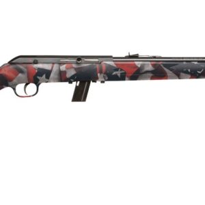 64 SEMI-AUTO 22LR FLAG 10+1