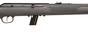 64 SEMI-AUTO 22LR BL/SY 10+1