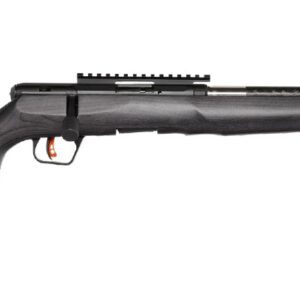 B22 22LR BL/LAM 18" CARBON TB