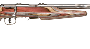 93 BOLT 17HMR SS/LAM EVO FLT