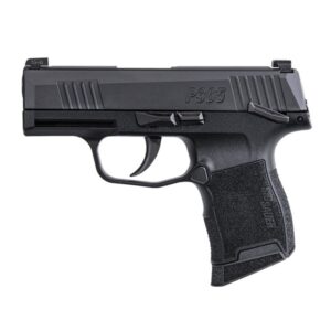 P365 380ACP BLK 10+1 NS SFTY