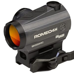 ROMEO4H 1X20 GRN HSDOT TORX #