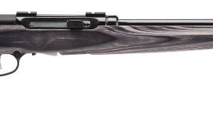 A17 TARGET 17HMR BL/LAM 22"