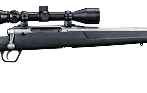 AXIS 22-250 SS/SYN 22" PKG