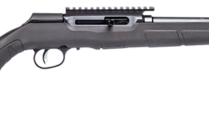 A22 22LR BL/SYN 16.5" 10+1 TB