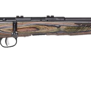 B17 BNS-SR 17HMR BLK/LAM 18" #