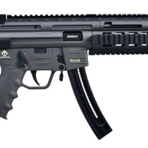 GSG-16 CARB 22LR GREY 22+1 16"