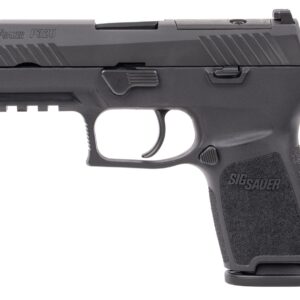 P320 CMPCT 9MM NIT 10+1 OR