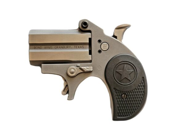 STUBBY 22LR SS 2.2" FS