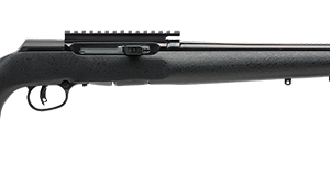 A17 PRO VARMINT 17HMR WD 22"