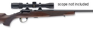 T-BOLT 17HMR SPORTER BL/WALNUT